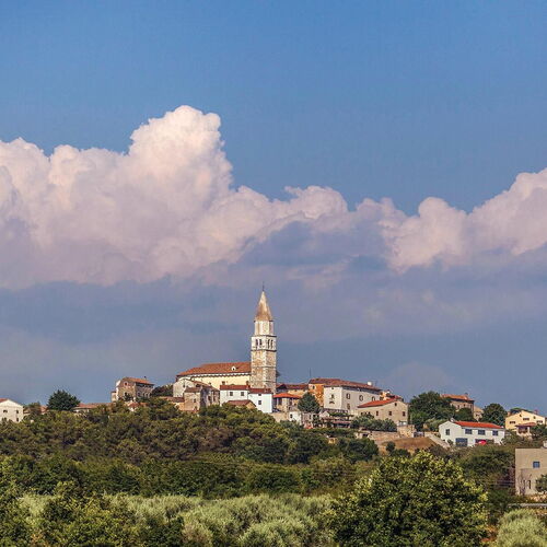 Vendégház Vabriga - CIC572  3