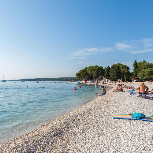 Apartman Fažana - CIF853  3