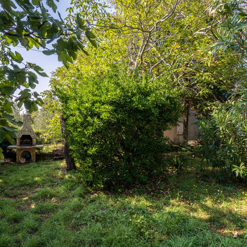 Apartman Premantura - CIA248  3