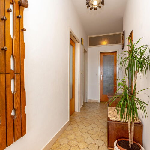 Apartman Blato - CDS297  4