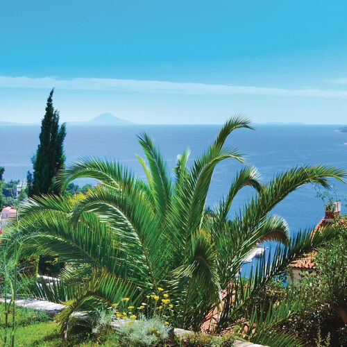 Apartman Rabac - CIO044  4