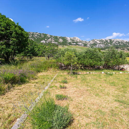 Apartman Draga Bašćanska - CKK786  3
