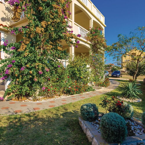 Apartman Povljana - CKP723  4