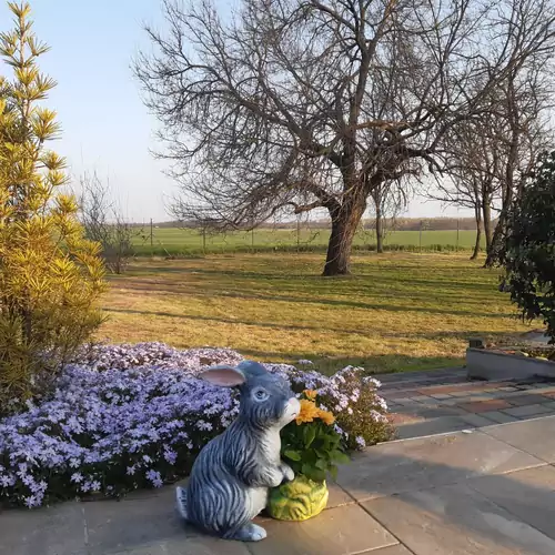 Pagony Berénybenei Fogadó Lajosmizse 011 kép