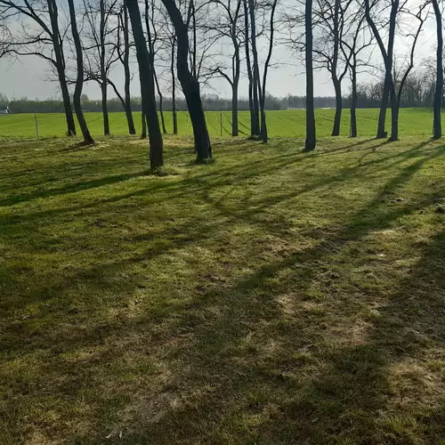 Pagony Berénybenei Fogadó Lajosmizse 012 kép