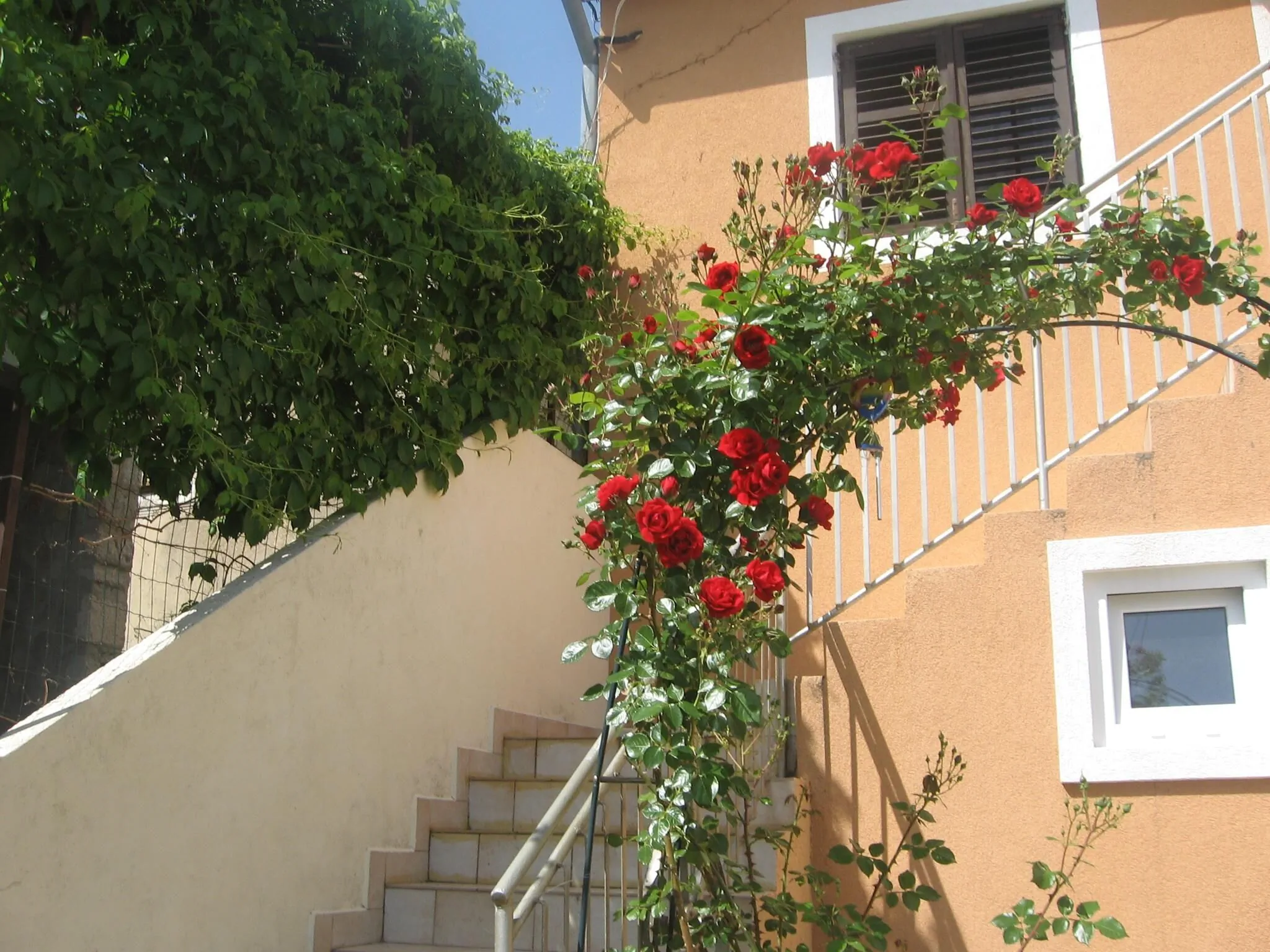 Apartman Luca Prvić Luka