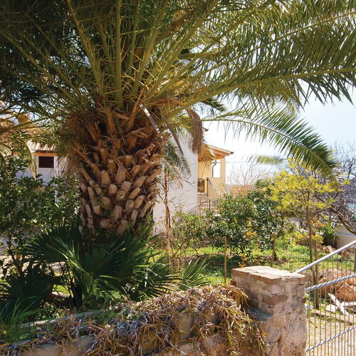 Apartman Banjole - CIB426  3
