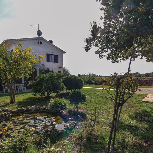 Apartman Rovinj - CIV588  3