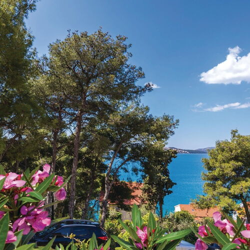 Apartman Trogir - CDC344  3