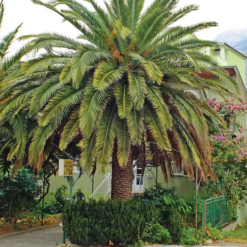 Apartman Makarska - CDE830  2