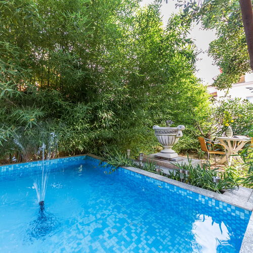 Apartman Ližnjan - CIZ401  3