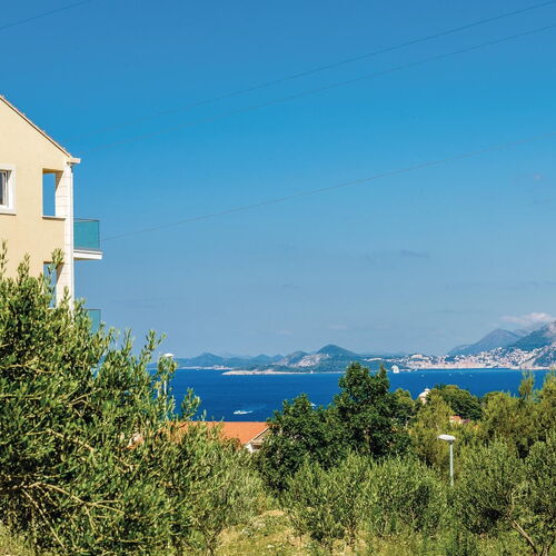 Apartman Cavtat - CDD746  2