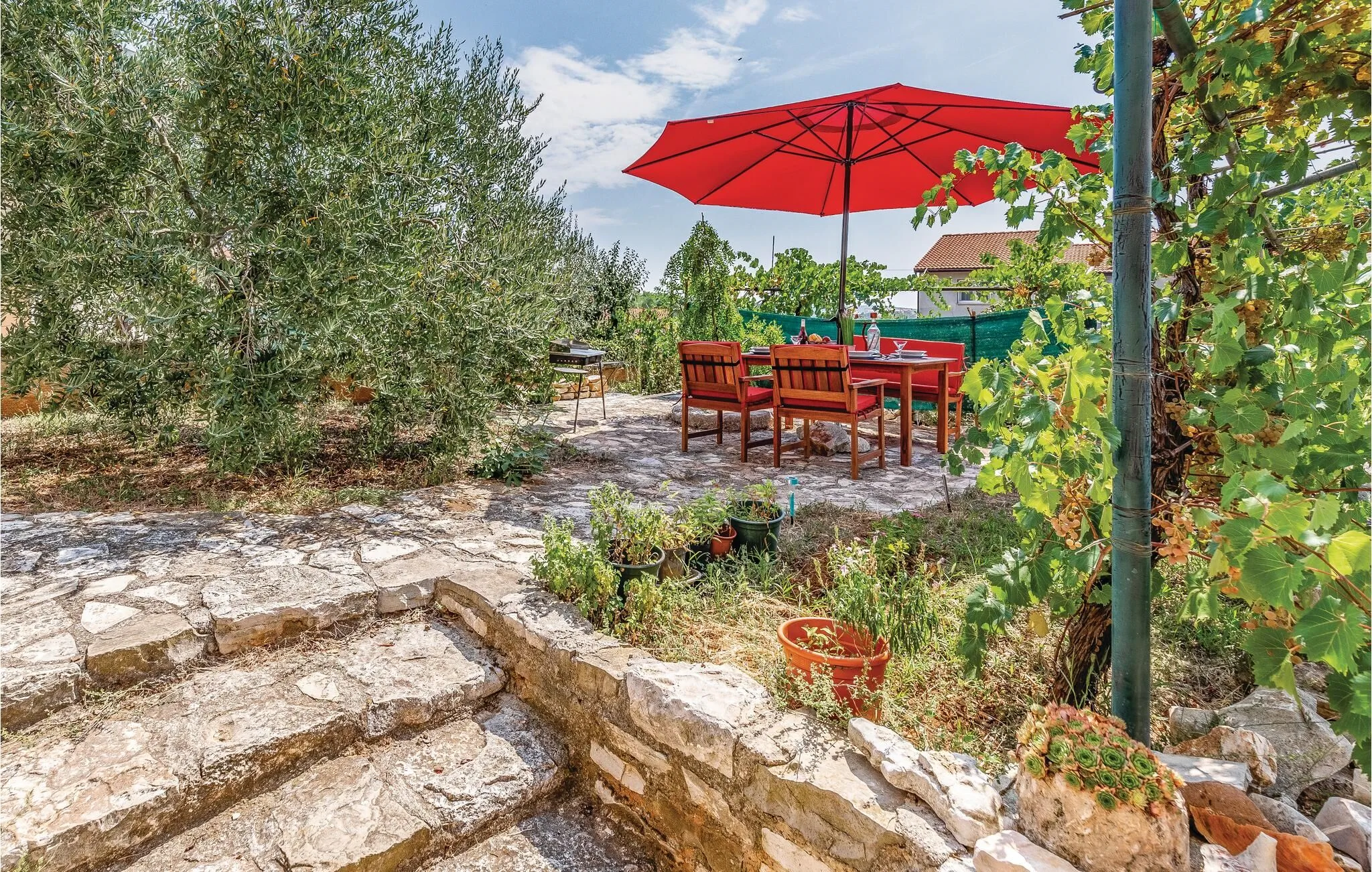 Apartman Vinkuran - CIP487