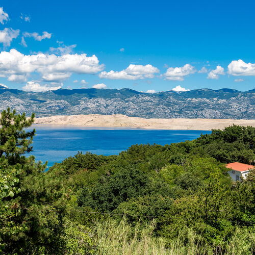 Apartman Bošana - CKP122  4