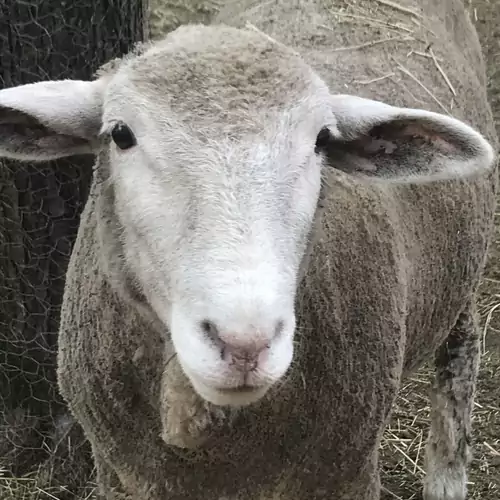 Korkóstoló Vendégházak Aggtelek 043 kép