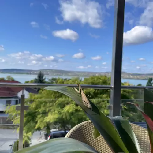 Zsolna Apartman Balatonfűzfő 013 kép