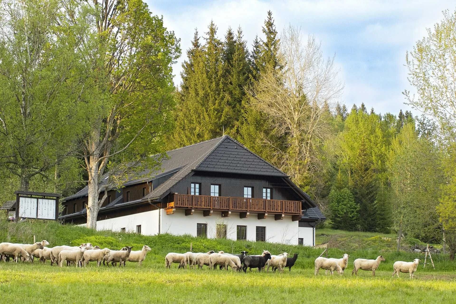 Dvůr Lískový vrch Strážný