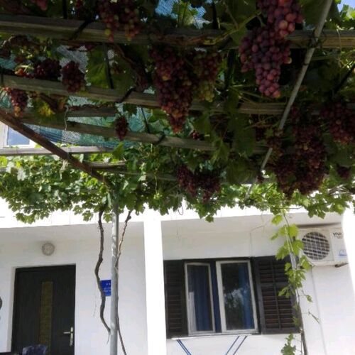 Apartman Tomić Rtina  3