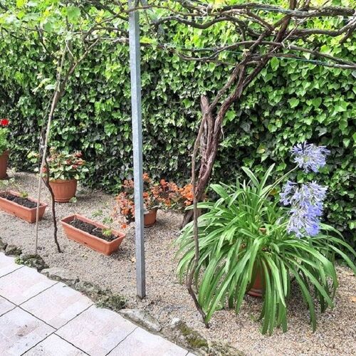 Aleksa Apartman Lesencetomaj  4