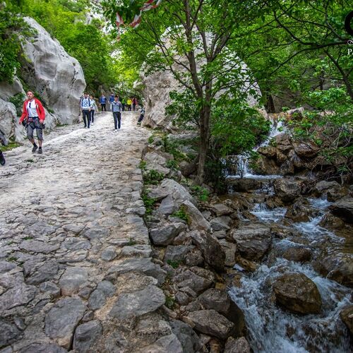 Apartmani Kiwi Starigrad  4