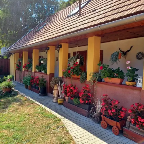 Tulipán Vendégház Bodony 039 kép