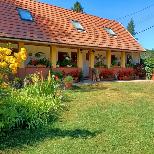 Tulipán Vendégház Bodony 040 kép