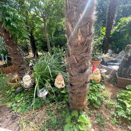 Apartman Oaza Crikvenica  3