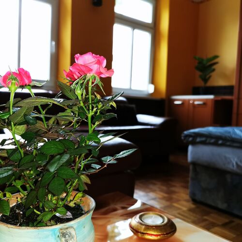 Lehel Apartman Keszthely  3