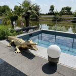 Wellness részleg, relaxáció
