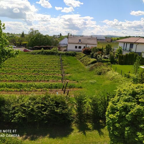 Sunset Hill Füred Apartman Balatonfüred  3