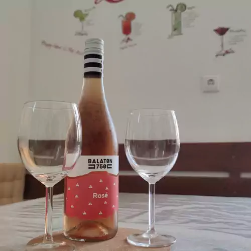 Révi Apartman Balatonboglár 006 kép