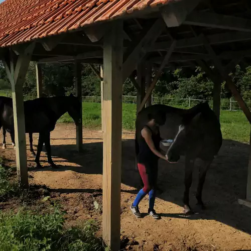 Szekeres Lovas Porta Őriszentpéter 008 kép