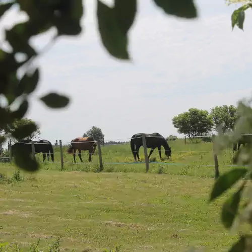 Szekeres Lovas Porta Őriszentpéter 011 kép