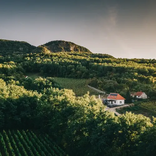 Elhelyezked&eacute;s