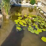 Wellness részleg, relaxáció