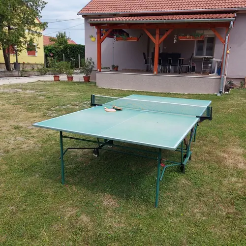 Ping-pongoz&oacute;s