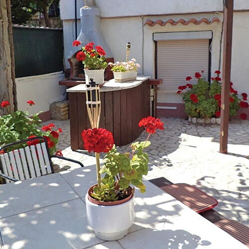 Apartman Pula - CIP939  2