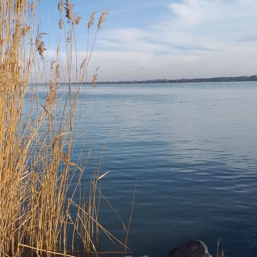 Pipitér Faház Balatonfűzfő  2