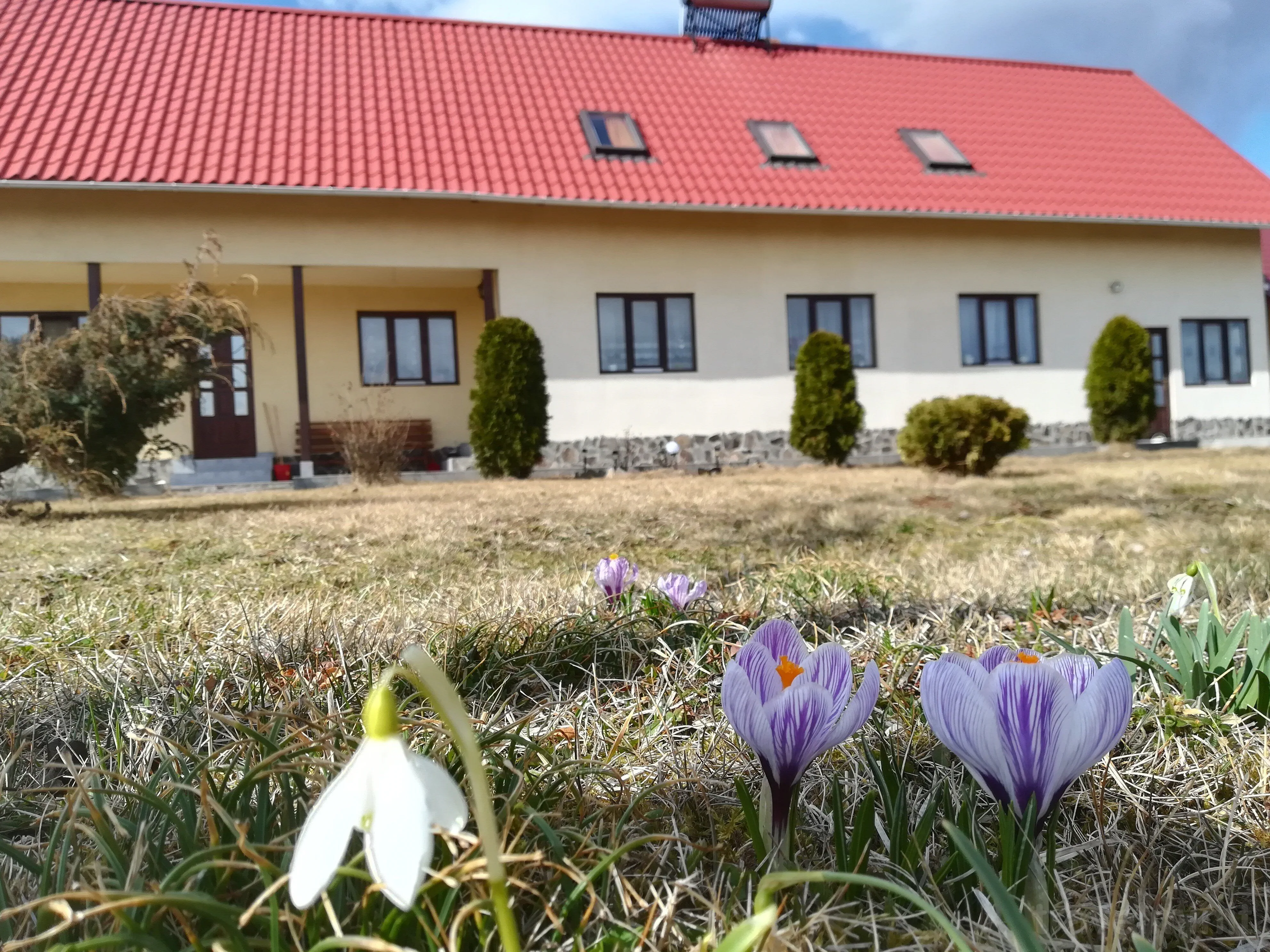 Casa de oaspeți Panorama Borzont