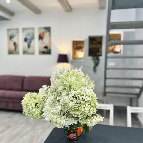 Eklektika Apartmanok Balatonalmádi 022 kép