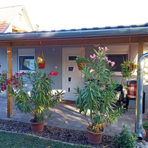 Liget Studio Apartman Fonyódliget  2