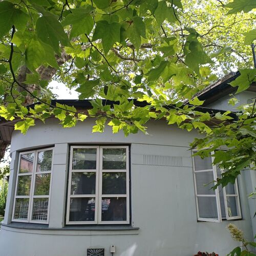 Mese Apartman Balatonboglár  2