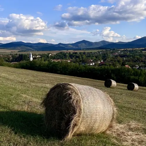 Pipacs és Tulipán Vendégház Bodony 017 kép