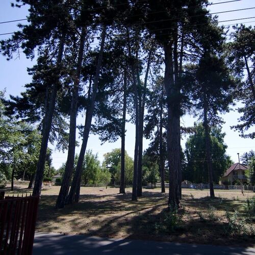 Ligetszépe Villa Fonyódliget  2