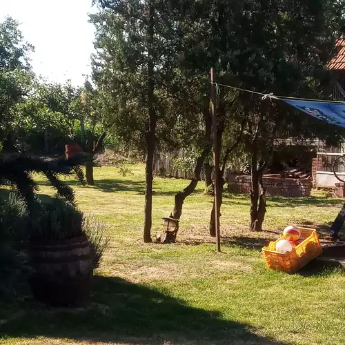 Pásztor Tanya Nyíregyháza 027 kép