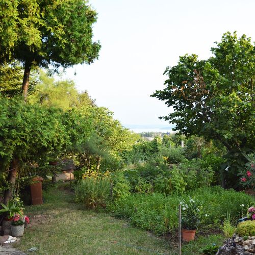 Váradi Vendégház Balatonfüred  4