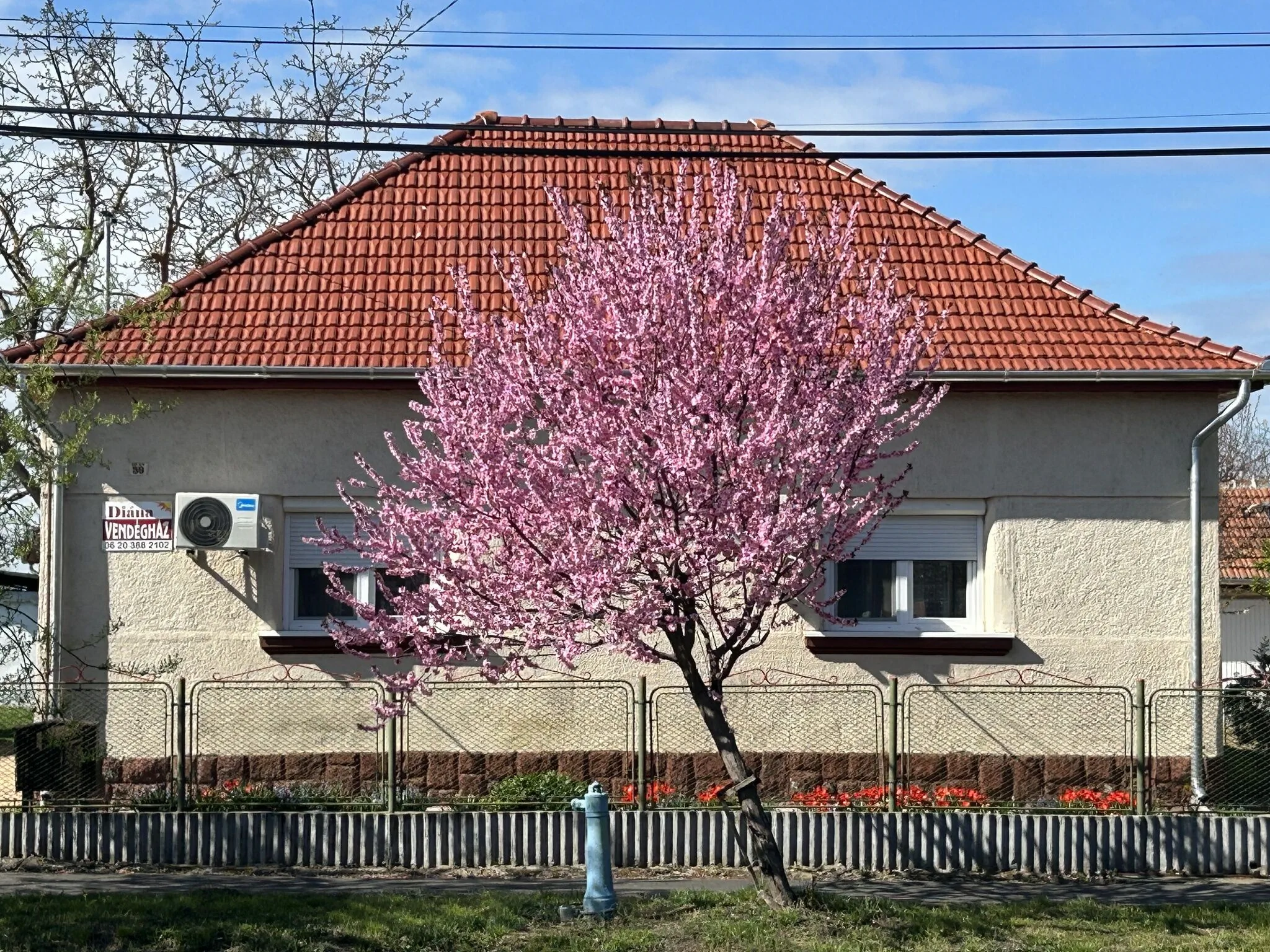 Diána Vendégház Poroszló