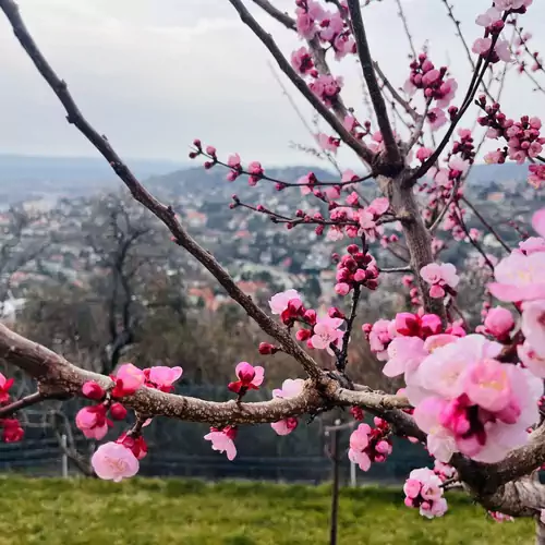 Panoráma Vendégház Péc 035 kép