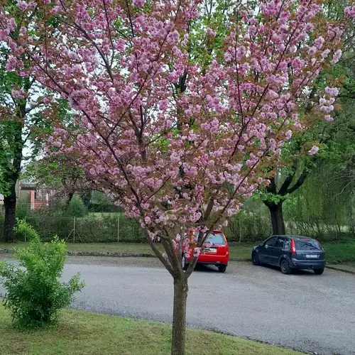 Könyvkuckó Apartman Harkány 010 kép