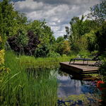 Wellness, relax